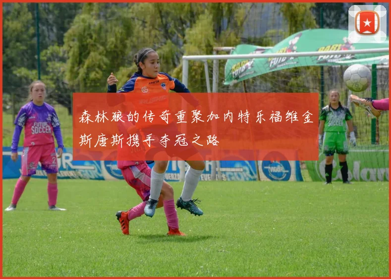 森林狼的传奇重聚加内特乐福维金斯唐斯携手夺冠之路